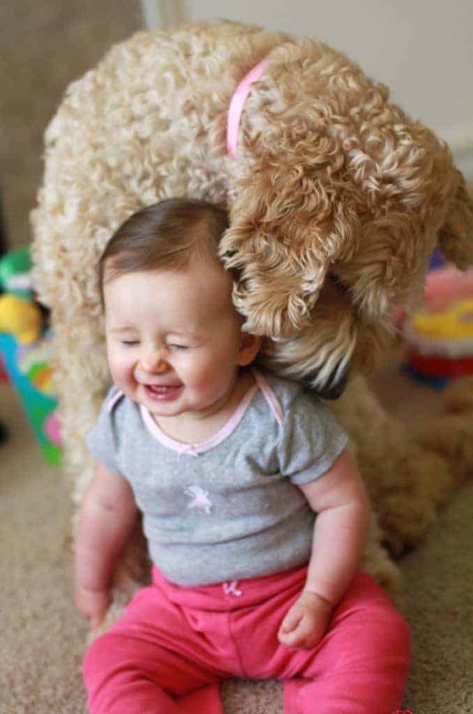 baby photography
