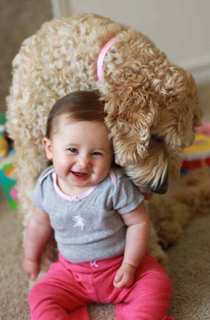 baby photography