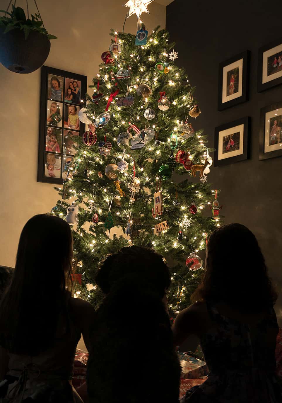 Christmas Tree Silhouette